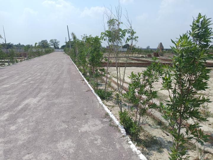 Jyoti Vihar Main Image 1