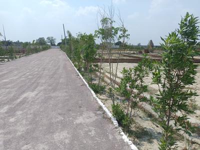 Jyoti Vihar Plot View 1