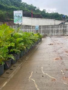 Chaksu Plot View 2