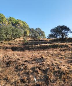Image of 1080 Sq.ft Residential Plot / Land for sale in Mukteshwar, Nainital for Rs. 2799904