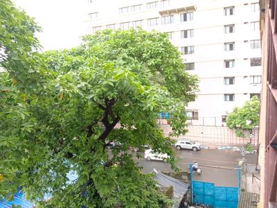 Living Room Image of 3694 Sq.ft 5 BHK Builder Floor for sale in Alipore Kolkata for Rs. 30100000