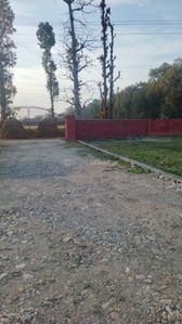 Image of 1800 Sq.ft Residential Plot / Land for sale in Dharmawala, Dehradun for Rs. 3100000