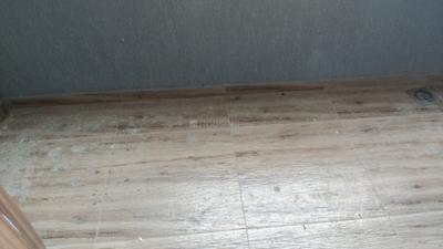 Image of 810 Sq.ft 2 BHK Apartment / Flat for rent in Paranjape Blue Ridge The Orion, Hinjawadi, Pune for Rs. 35000