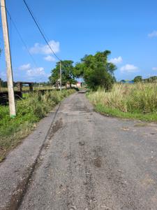 Wander Valley Internal Roads 1