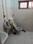 Bathroom Image of PG 11928445 Jadavpur in Jadavpur, Kolkata