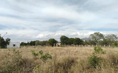 Image of 36580 Sq.ft Residential Plot / Land for sale in Kalapatti, Coimbatore for Rs. 168000000