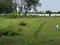 Shashwita Grandeur Main Image 1