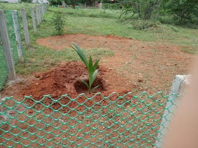 Perur Chettipalayam Plot View 2