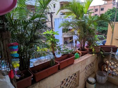 Balcony Image of 1100 Sq.ft 2 BHK Apartment / Flat for sale in Kondhwa Pune for Rs. 3400000