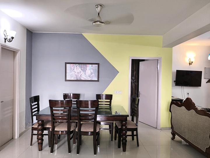 Tulip Violet Main Image 1