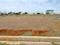 Agraharam, Singanallur Plot View 2