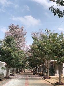 Residential Plot