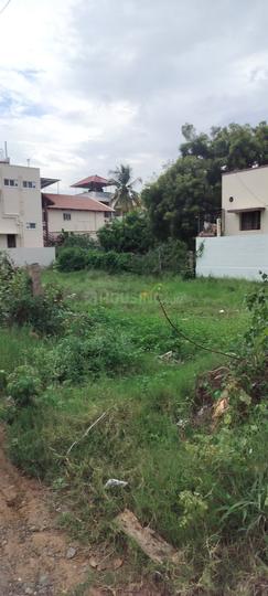 Ganesh Nagar, GN Mills Main Image 1