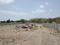 Mayur Colony Main Image 1
