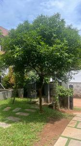 Image of 3000 Sq.ft 4 BHK Independent House for rent in Malaparamba, Kozhikode for Rs. 100000