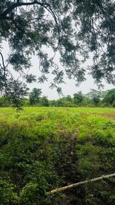 Image of 5000 Sq.ft Residential Plot / Land for sale in Kapasda, Durg for Rs. 2875000