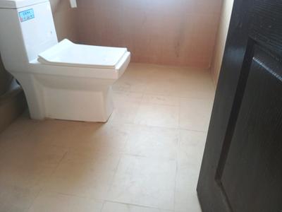 Common Bathroom Image of 1310 Sq.ft 2 BHK Apartment / Flat for sale in ILD Grand, Sector 37C Gurgaon for Rs. 13499999