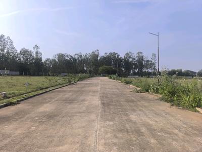 Image of 1350 Sq.ft Residential Plot / Land for sale in Hoskote, Bengaluru for Rs. 3847000