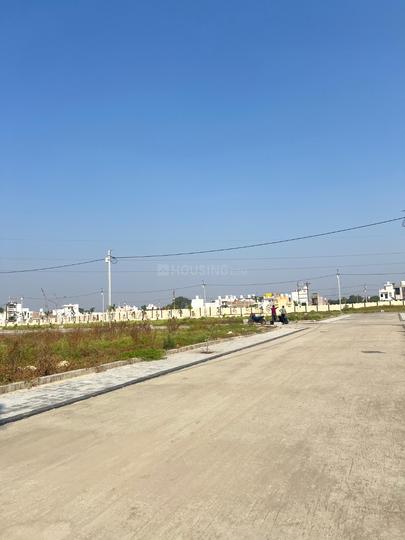 Manglia Main Image 1