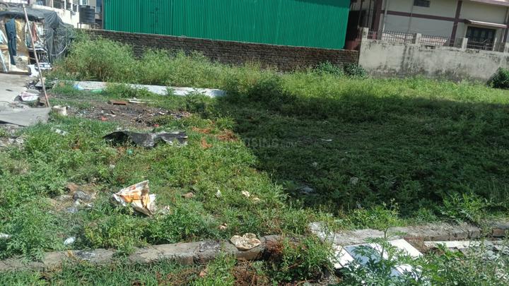 Jogiwala Main Image 1
