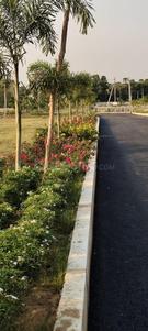 Bhogapuram Plot View 2