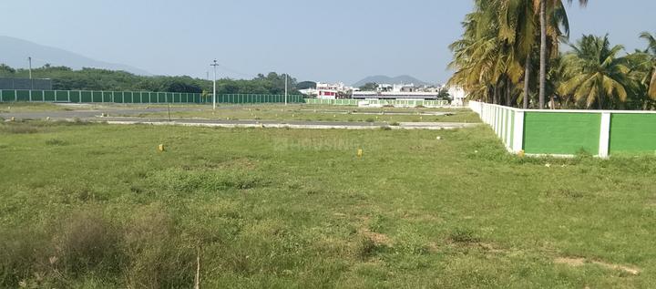 Karamadai Main Image 1