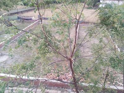 VDA Colony Plot View 2