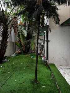 Image of 5600 Sq.ft 6 BHK Independent House for sale in Scheme No 94C, Indore for Rs. 65000000