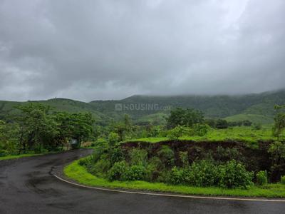 Image of 11000 Sq.ft Residential Plot / Land for sale in Bhor, Pune for Rs. 2100000