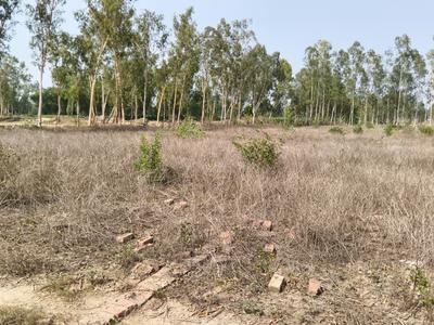 Image of 1102 Sq.ft Residential Plot / Land for sale in Shahbazpur Dor, Gajraula for Rs. 750000