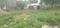 Chettipunyam Main Image 1