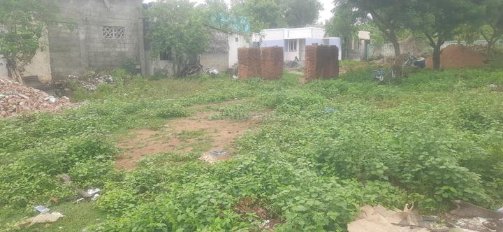 Chettipunyam Main Image 1