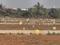 Yelachanayakanapura Plot View 2
