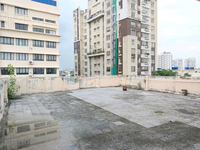 Terrace Image of 3694 Sq.ft 5 BHK Builder Floor for sale in Alipore Kolkata for Rs. 30100000
