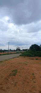 Residential Plot