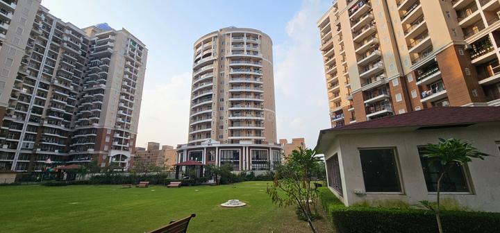 Ambika Florence Park Main Image 1