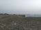 Jarauli Plot View 2