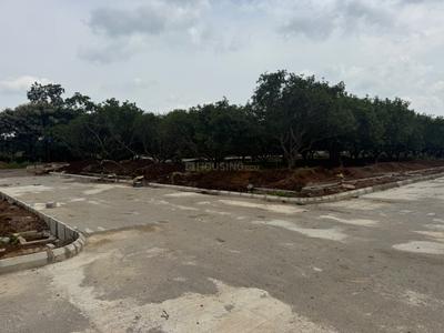Residential Plot
