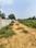 Bihta Main Image 1