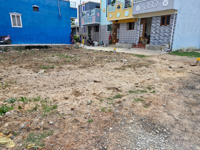 TNHB Layout Plot View 2