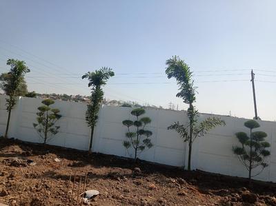 Residential Plot
