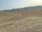 Gmreddy Realestate Plot View 1