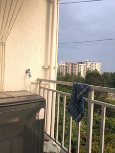 Bedroom Image of 600 Sq.ft 1 BHK Apartment / Flat for rent in Whitefield Bengaluru for Rs. 26000