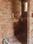Satabdi park Bathroom 1