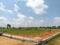 BLR Spring Field Vantage Main Image 1