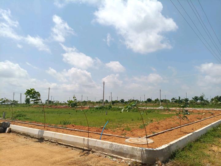 BLR Spring Field Vantage Main Image 1