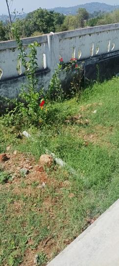 Telungupalayam Main Image 1