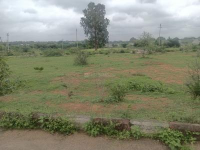 Image of 1485 Sq.ft Residential Plot / Land for sale in Shadnagar, Ranga Reddy for Rs. 3600000