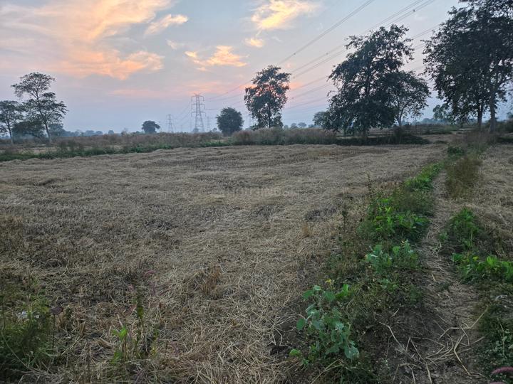 Kumhari Main Image 1