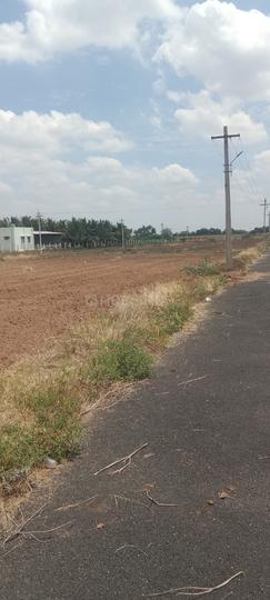 Vadagapalayam palladam balaji garden Main Image 1